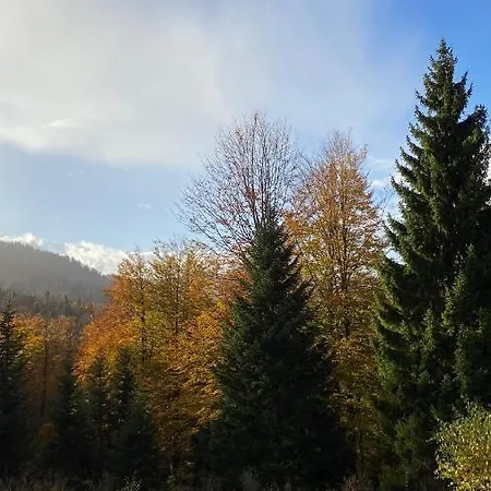 Alpi Pridolci * Busovaca